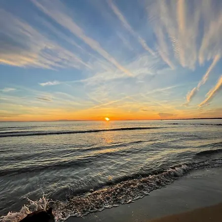 Cap D'agde Beau 2 Pieces Commerces A Pieds ! Apartament Agde