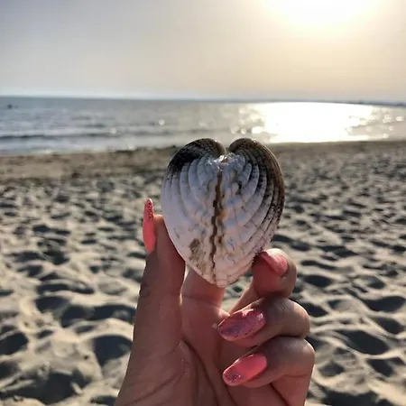 Cap D'agde Beau 2 Pieces Commerces A Pieds ! Apartament