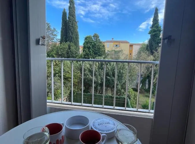 Cap D'agde Beau 2 Pieces Commerces A Pieds ! アパート アグド