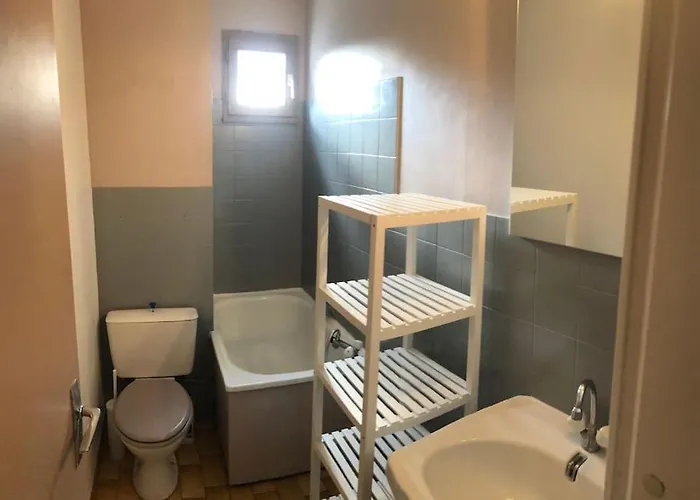 アパート Cap D'agde Beau 2 Pieces Commerces A Pieds ! アグド