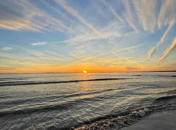 Cap D'agde Beau 2 Pieces Commerces A Pieds ! アパート アグド