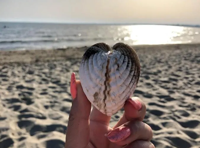 Cap D'agde Beau 2 Pieces Commerces A Pieds ! アパート